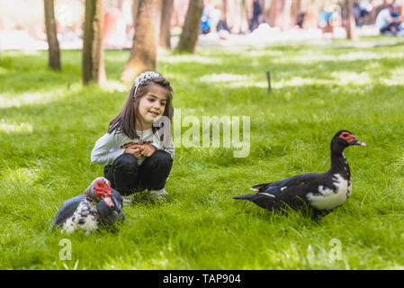 Adorable vier Jahre alt cute little Girl Uhren Enten in einem grünen Garten. Natur und Kid Konzept Stockfoto