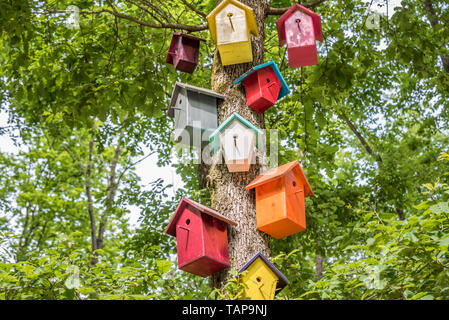 Synthetische bunte Nester hängen am Baum. Handgefertigte Holz Vogelhaus auf einen Baum für Vogel Schutz. Frühling Landschaft mit Vogel Nistkasten an einem Baum Stockfoto