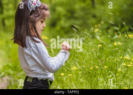 Adorable vier Jahre alt cute little Girl Picks wilde Blume an der Wiese an einem sonnigen Tag Stockfoto