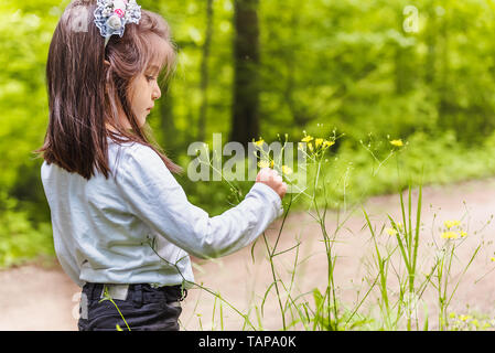 Adorable vier Jahre alt cute little Girl Picks wilde Blume an der Wiese an einem sonnigen Tag Stockfoto