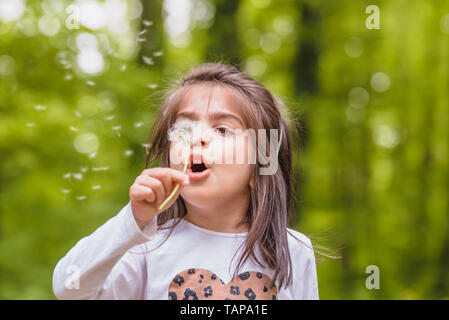 Outdoor Portrait von adorable vier Jahre alt, süße kleine Mädchen bläst ein Löwenzahn wilde Blume an der Wiese an einem sonnigen Tag Stockfoto