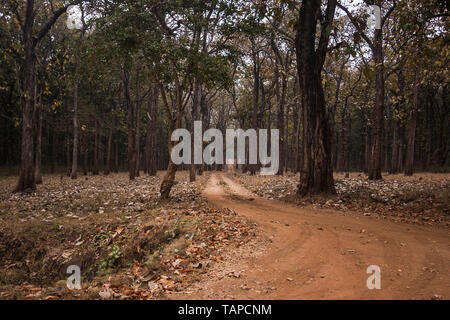 Die Landschaften der Kabini Nagarhole Nationalpark und Tiger Reserve in der Nähe von Mysore, Karnataka, Indien, Asien Stockfoto