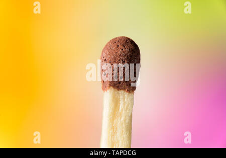 Nahaufnahme Makro der Kopf einer entsprechen Stockfoto