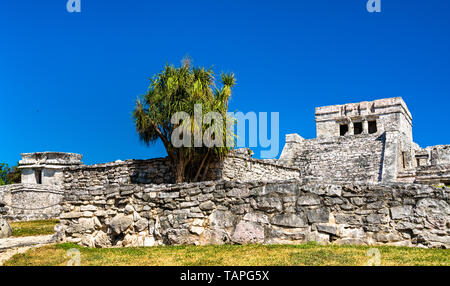 Alten Maya Ruinen in Tulum in Mexiko Stockfoto