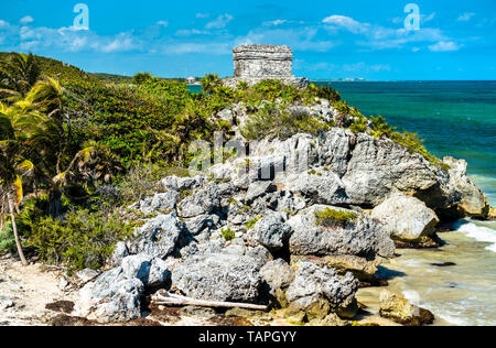 Maya Ruinen an der karibischen Küste - Tulum, Mexiko Stockfoto