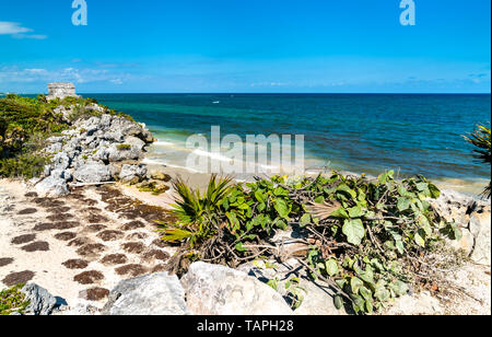 Maya Ruinen an der karibischen Küste - Tulum, Mexiko Stockfoto