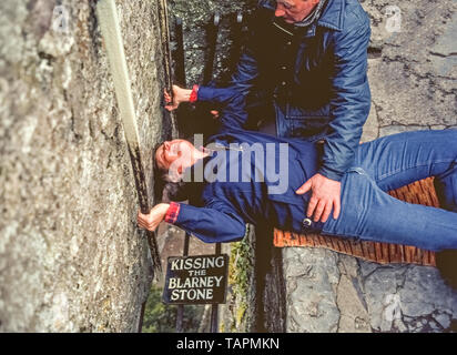 Eine Telefonzentrale hält auf der jungen amerikanischen Mann, der auf dem Rücken liegt, packt zwei Metall Geländer, und lehnt seinen Kopf zurück in den traditionellen upside-down Art und Weise den berühmten Blarney Stone hoch in den Turm von Blarney Castle im County Cork, Irland zu küssen. Es hat eine lange Tradition für die Besucher des Schloss aus dem 15. Jahrhundert wurden die schmalen Treppe der berühmte Satz von Kalkstein auf den Zinnen, die vom Turm aus zu erreichen, um zu klettern. Bügeleisen bars verhindern die Münder von Fallen durch den offenen Raum auf den Boden. Küssen der Stein sagte Beredsamkeit zu verleihen; in anderen Worten, geben ihnen das Geschenk der Akv. Stockfoto