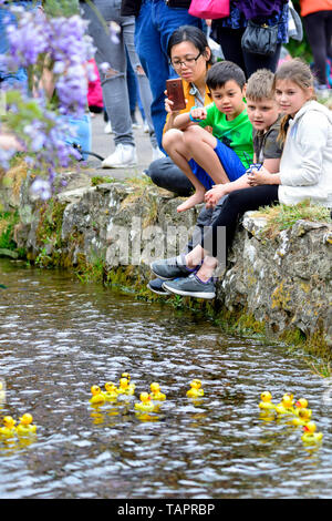 Lose Dorf, Kent, Großbritannien. 27. Mai, 2019. Die jährlichen Feiertag Duck Race, die durch die Lose Annehmlichkeiten Association auf lose Brooks, der Strom, der durch die Mitte der historischen Kent Dorf organisiert. Credit: PjrFoto/Alamy leben Nachrichten Stockfoto