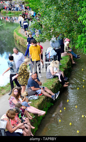 Lose Dorf, Kent, Großbritannien. 27. Mai, 2019. Die jährlichen Feiertag Duck Race, die durch die Lose Annehmlichkeiten Association auf lose Brooks, der Strom, der durch die Mitte der historischen Kent Dorf organisiert. Credit: PjrFoto/Alamy leben Nachrichten Stockfoto