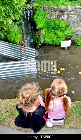 Lose Dorf, Kent, Großbritannien. 27. Mai, 2019. Die jährlichen Feiertag Duck Race, die durch die Lose Annehmlichkeiten Association auf lose Brooks, der Strom, der durch die Mitte der historischen Kent Dorf organisiert. Credit: PjrFoto/Alamy leben Nachrichten Stockfoto