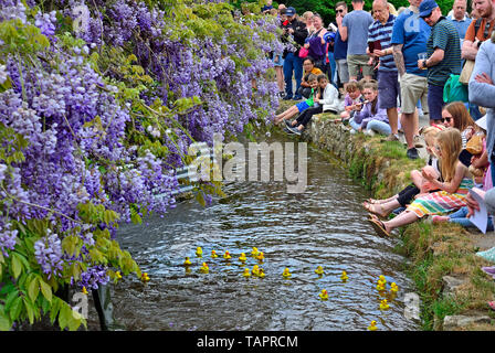 Lose Dorf, Kent, Großbritannien. 27. Mai, 2019. Die jährlichen Feiertag Duck Race, die durch die Lose Annehmlichkeiten Association auf lose Brooks, der Strom, der durch die Mitte der historischen Kent Dorf organisiert. Credit: PjrFoto/Alamy leben Nachrichten Stockfoto