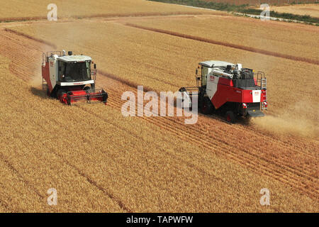 Zhengzhou, Provinz Henan in China. 27. Mai, 2019. Landwirte und zum Bedienen von Maschinen zum Ernten von Weizen in Tianzhuang Dorf Tanghe County, Nanyang City, Central China Provinz Henan, 27. Mai 2019. Credit: Feng Dapeng/Xinhua/Alamy leben Nachrichten Stockfoto