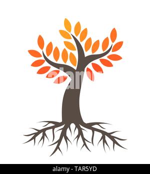 Herbst Baum mit Wurzeln. Vector Illustration Stock Vektor