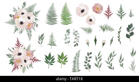 Eingestellt von floralen Zweig. Anemonen, Rosa, grüne Blätter. Blumen Poster, einladen. Satz Blätter, flowersbranches Kräuter und andere natürliche Elemente Stock Vektor