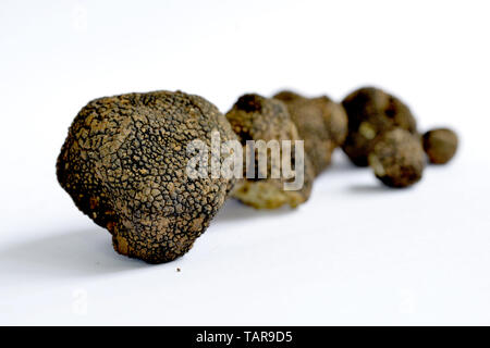 Closeup Schuß von schwarzen Trüffeln auf weißem Hintergrund. Bild Stockfoto