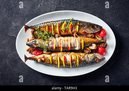 In der Nähe von drei ganze gegrillte Makrelen mit Zitronen, Tomaten, Pilze, Gewürze und Kräuter auf eine weiße, ovale Schale, horizontale Ansicht von oben, flatlay, Stockfoto