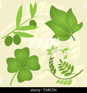 Satz mit vier grünen Zweigen. Vector Illustration.eps 10. Stock Vektor
