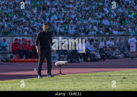 25. Mai 2019. Oeiras, Portugal. Porto Haupttrainer aus Portugal Sergio Conceicao in Aktion während des Spiels Sporting CP vs FC Porto © Alexandre de Sousa/Alamy leben Nachrichten Stockfoto