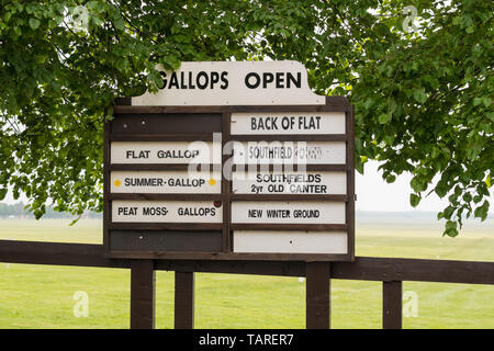 Öffnen Sie galoppiert in Newmarket Racecourse, Newmarket Heath, Newmarket, England, Großbritannien Stockfoto