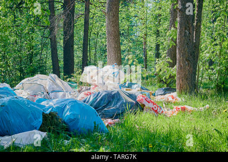 Ein Haufen Müll im Wald. Rasse Schutz. Kunststoff Papierkorb. Das Konzept der ökologischen Probleme Stockfoto