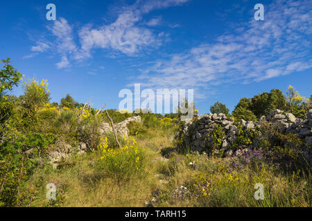 Razanj Kroatien Europa. Natur und Landschaft Foto Küste an der Adria in Dalmatien. Schöne Natur an sonnigen Frühlingstag. Stockfoto