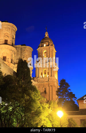 Beleuchtete die Kathedrale von Malaga in der Nacht, im Zentrum der Stadt, in Andalusien, Spanien, Europa Stockfoto