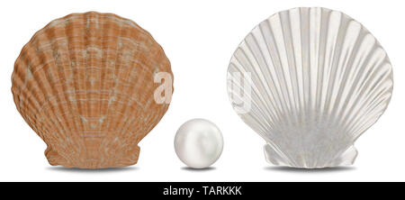 Satz von Perlen, Muschel, innere und äußere Seite auf weißem Hintergrund mit Schatten isoliert. Sea Shell Vorderansicht. Juwel, Damenschmuck, Perlmutt Perlen. 3D I Stockfoto