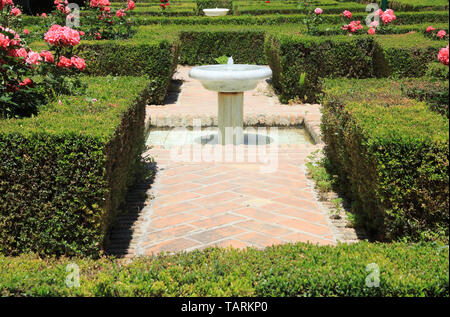 Die Gärten der Jardines de Pedro Luis Alonso, neben dem Rathaus, im Stadtzentrum von Malaga, an der Costa del Sol, Spanien Stockfoto