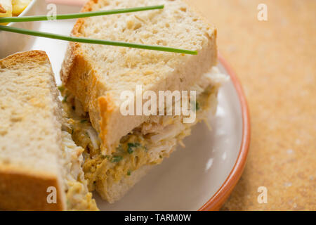 Ein hausgemachtes Sandwich aus einem gekochten Seespinne im Ärmelkanal gefangen. Die braune Fleisch wurde mit Mayonnaise und gehackten Schnittlauch, es, gemischt Stockfoto