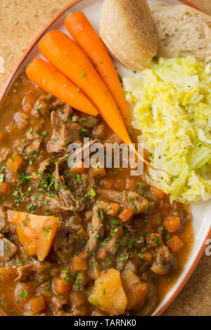 Einen Teller mit hausgemachten Hirschragout aus langsamer gemacht - gekochte Fleisch wild Knochen, die in einem Slow Cooker mit Gemüse, Pilzen und Kräutern geschmort für Waren Stockfoto