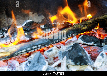 Brennholz Brennen in einem Aufsatz auf eine helle gelbe Flamme ein Baum, dunkelgrau Kohlen in einem Metallgehäuse brazier. Holzkohle brazier Kohle Stockfoto