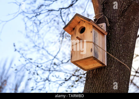 Eine hölzerne neue Vogelhaus ist ein Baum mit einem Seil in einem Park vor blauem Himmel, Nahaufnahme. Stockfoto