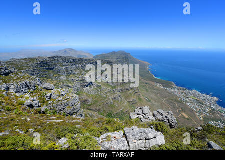 Table Mountain National Park in Kapstadt. Stockfoto