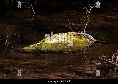 Ruhe. Bemoosten Felsen im Wald See. Noch Teich, ragt Steine mit Moos überwachsen, dunklen Wasser. Spiegelungen im Wasser. Zen Hintergrund Stockfoto