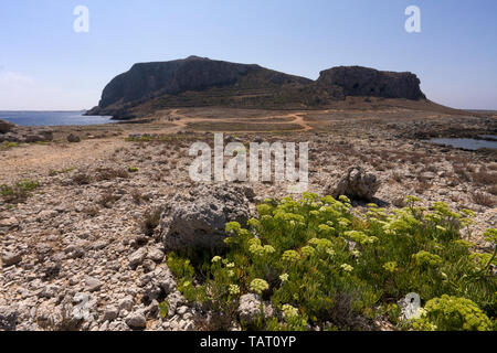 Punta Faraglioni. Favignana Insel. Sizilien, Italien Stockfoto