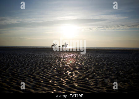 Wunderschöne, ruhige und gelassene Bilder der Landschaft mit einer Person in Silhouette ein Pferd Reiten entlang der Küste am Strand bei Sonnenuntergang Stockfoto