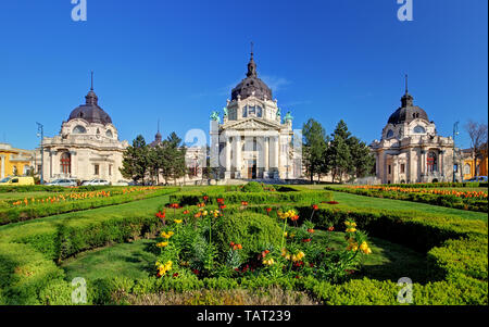 Széchenyi Heilbad in Budapest, Ungarn Stockfoto