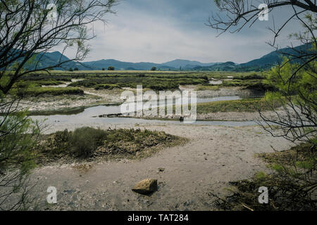 Moore und Sümpfe im Biosphärenreservat Urdaibai im Baskenland, Spanien Stockfoto