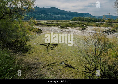 Moore und Sümpfe im Biosphärenreservat Urdaibai im Baskenland, Spanien Stockfoto