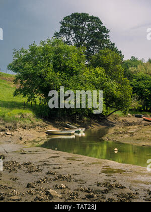 Moore und Sümpfe im Biosphärenreservat Urdaibai im Baskenland, Spanien Stockfoto