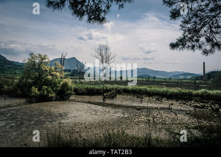 Moore und Sümpfe im Biosphärenreservat Urdaibai im Baskenland, Spanien Stockfoto