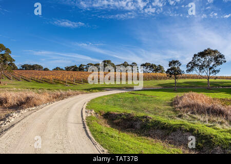 Straße windet sich durch Weinberg im malerischen Australische Landschaft Stockfoto