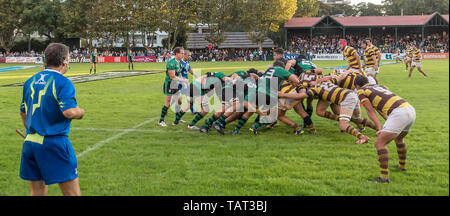 Rugby-Spiel in Argentinien Stockfoto