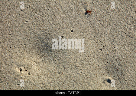 Muster durch die Flutwelle am Strand in der Nähe der Küste. Stockfoto