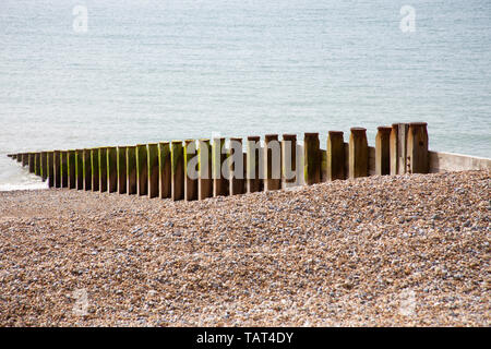 Holz- leiste auf Pebble Beach, Eastbourne. Stockfoto