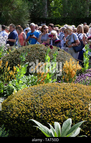 RHS Chelsea Flower Show 2019: Massen von Besuchern bewundern und fotografieren die Morgan Stanley Garten entworfen von Chris Beardshaw, verfügt über einen blühenden Zwerg Kastanie, formgehölze Grabhügel und ein Ruheraum pod. Stockfoto