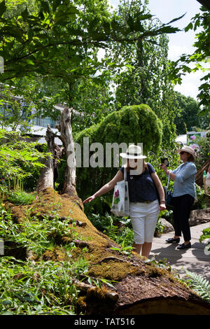 Die RHS Chelsea Flower Show 2019: Garten Designer Adam weiß von Davies White Ltd. auf der rechten Seite Zurück zur Natur Garten, die Sie mit der Herzogin von Cambridge entwickelt. Stockfoto