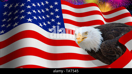 Foto von einem Weißkopfseeadler im Profil auf einer 3D-Darstellung der USA-Flagge über einem Nachthimmel mit Feuerwerk im Hintergrund zu sehen Stockfoto