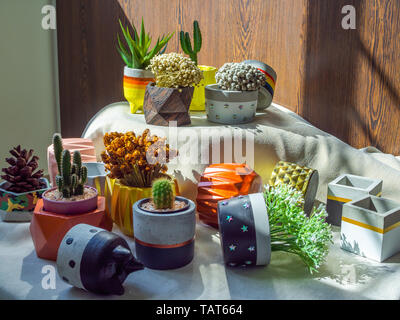Verschiedene Blumen und Kakteen mit vielen geometrischen konkrete Pflanzer auf weißem Stoff auf Holz- Hintergrund. Malte konkrete Töpfe für zu Hause decoratio Stockfoto