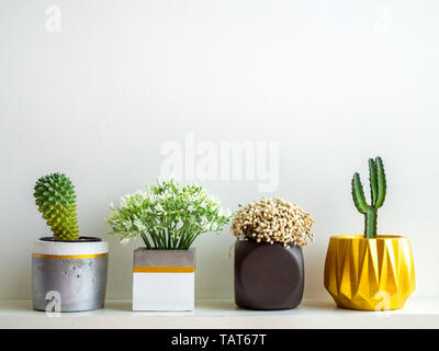 Schöne verschiedene geometrische konkrete Pflanzmaschinen mit Kakteen, Blumen und sukkulente Pflanze auf weißen Holzregal auf weißer Wand Hintergrund mit Co isoliert Stockfoto